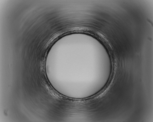 X0000102531017200808081048