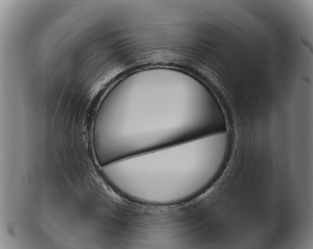 X0000102531018200808081048