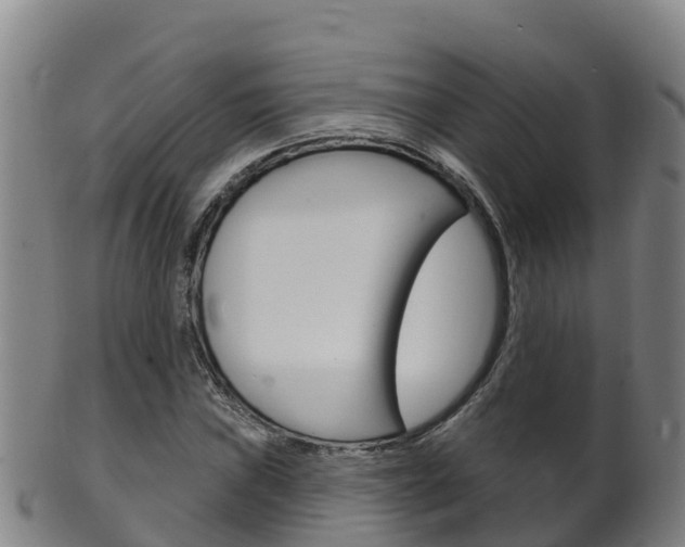 X0000102531019200808081048