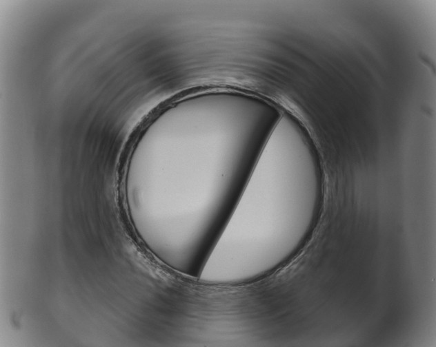 X0000102531020200808081048