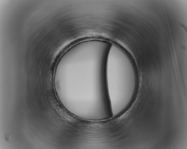 X0000102531021200808081048