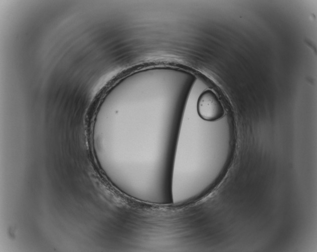 X0000102531022200808081048