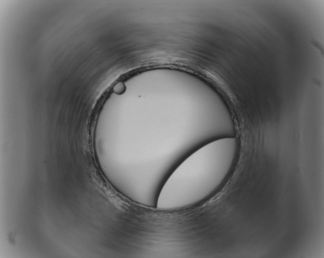 X0000102531023200808081048
