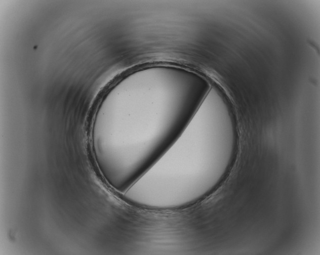 X0000102531024200808081048