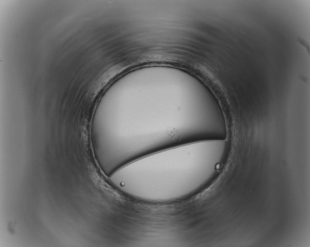 X0000102531025200808081048