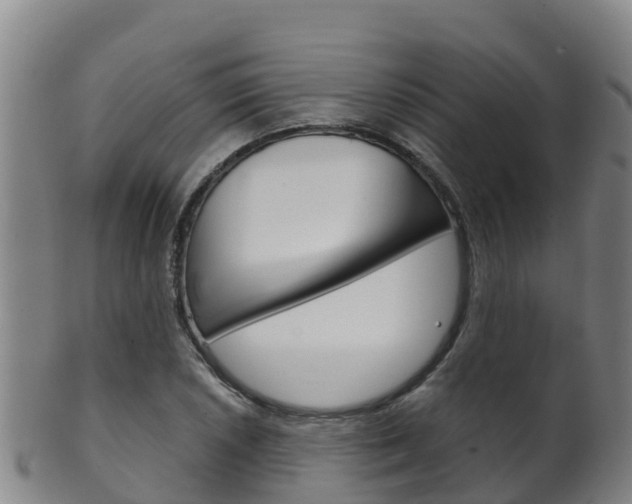 X0000102531026200808081048