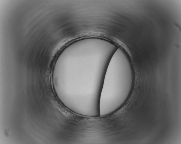 X0000102531027200808081048