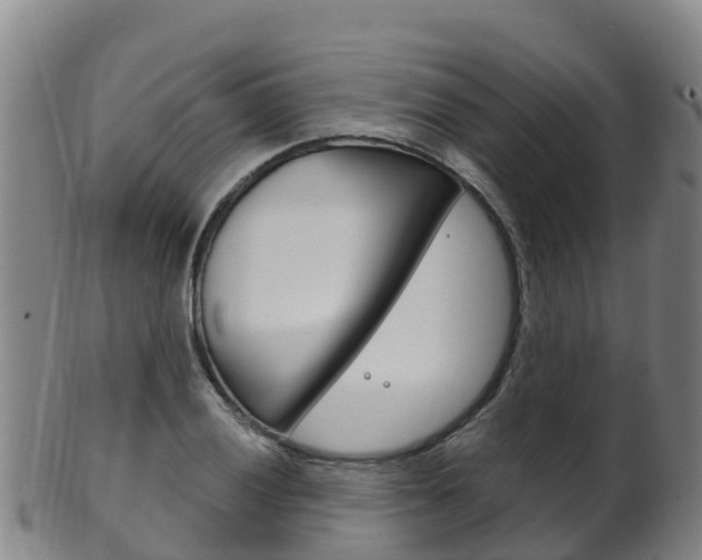 X0000102531028200808081048
