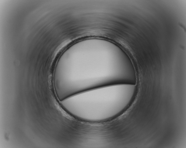 X0000102531029200808081048