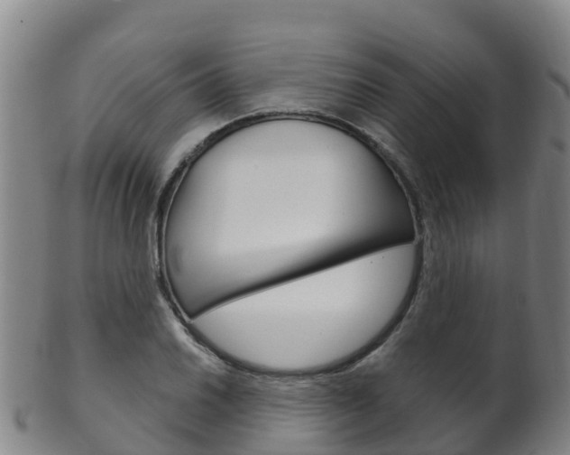 X0000102531030200808081048
