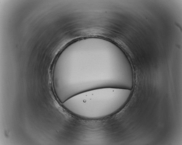 X0000102531031200808081048