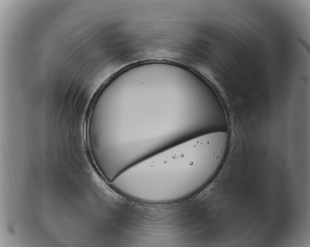 X0000102531032200808081048