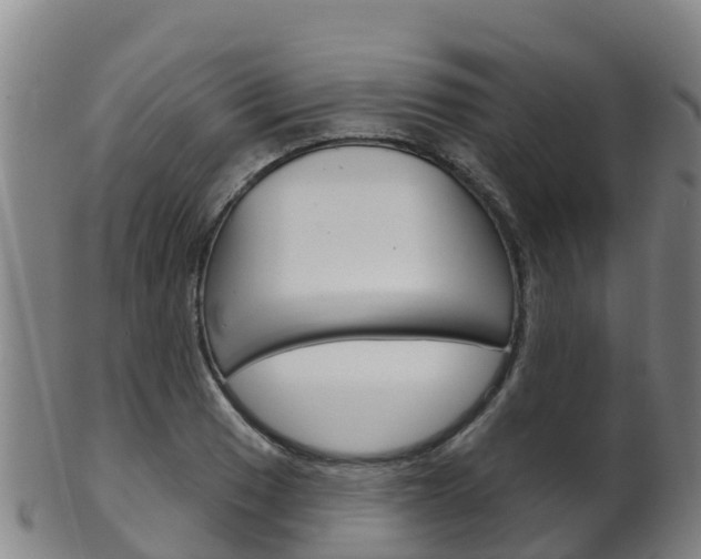 X0000102531033200808081048