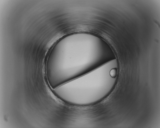 X0000102531034200808081048