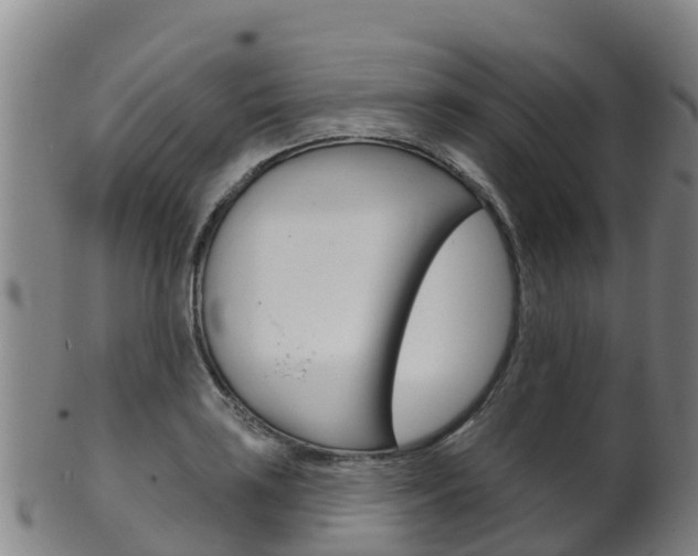 X0000102531035200808081048