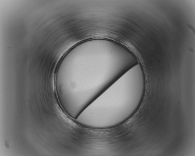 X0000102531036200808081048