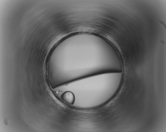 X0000102531037200808081048
