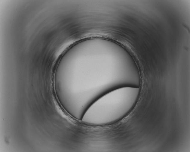 X0000102531038200808081048