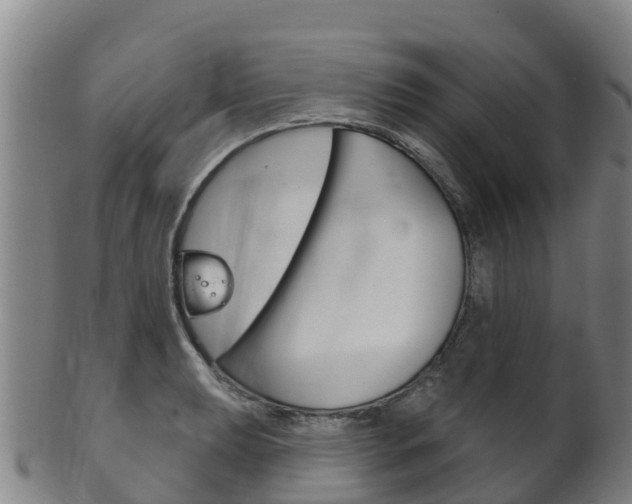 X0000102531039200808081048