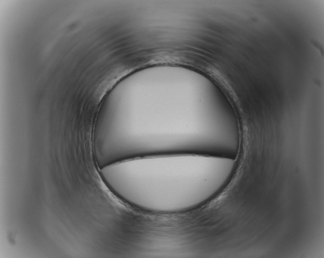 X0000102531041200808081048