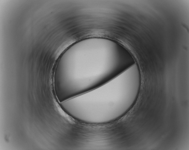 X0000102531042200808081048