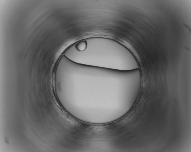 X0000102531043200808081048