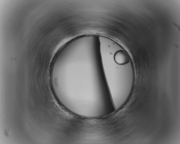X0000102531045200808081048