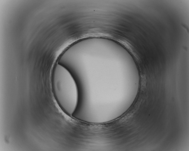 X0000102531046200808081048