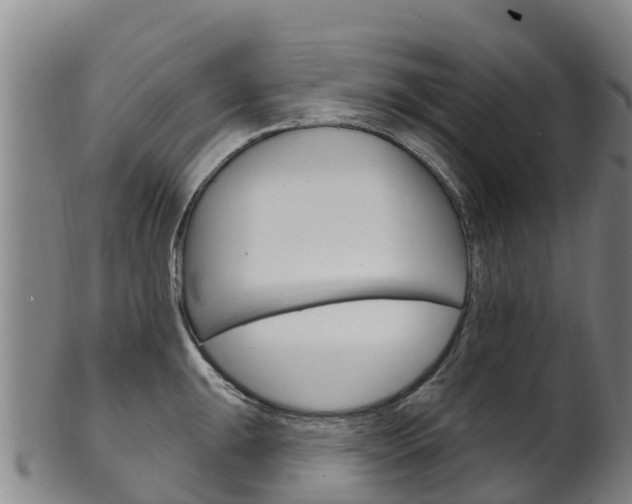 X0000102531047200808081048