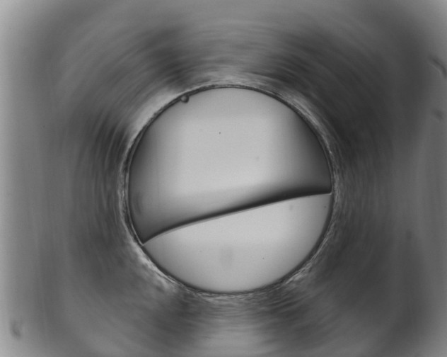 X0000102531048200808081048