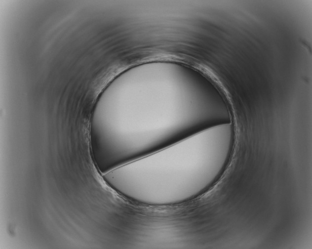 X0000102531049200808081048