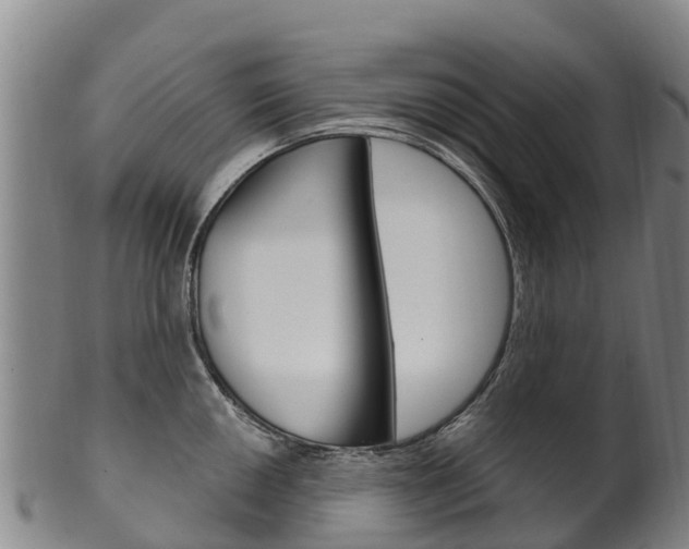 X0000102531050200808081048