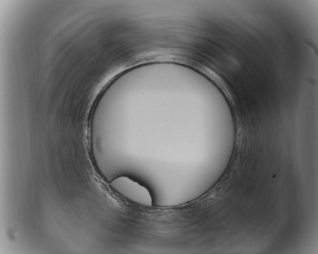 X0000102531051200808081048