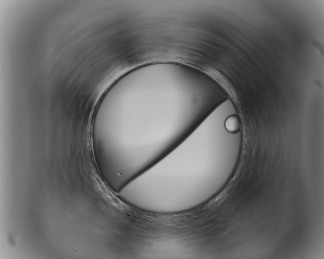 X0000102531052200808081048