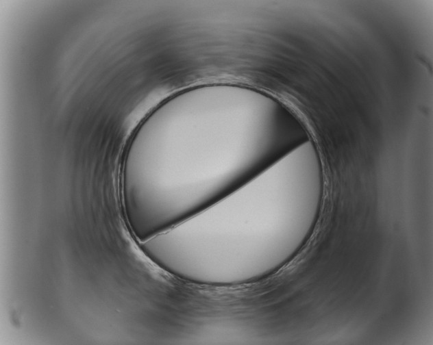X0000102531054200808081048