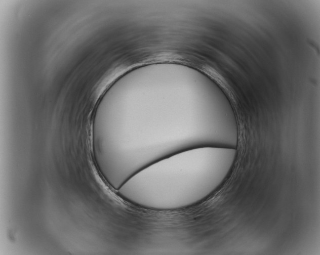 X0000102531055200808081048
