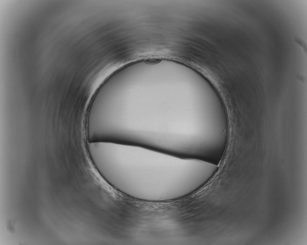 X0000102531056200808081048