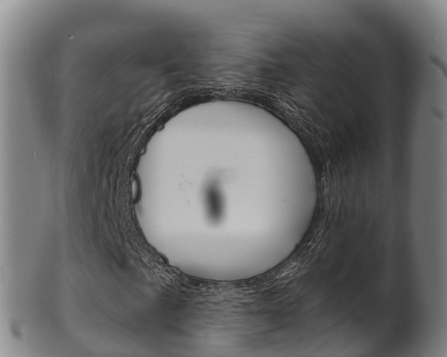 X0000102531057200808081047
