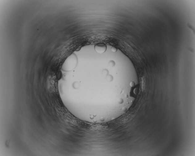 X0000102531059200808081047