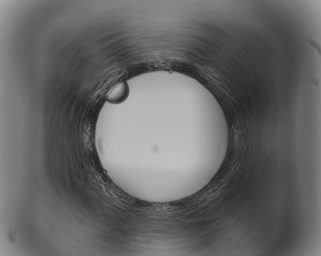 X0000102531060200808081047