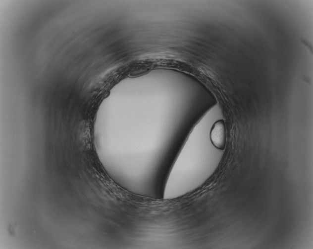 X0000102531062200808081047