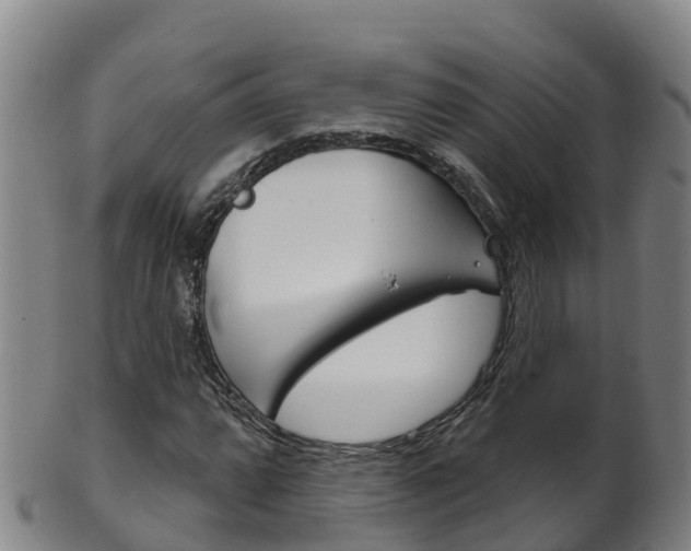 X0000102531064200808081047