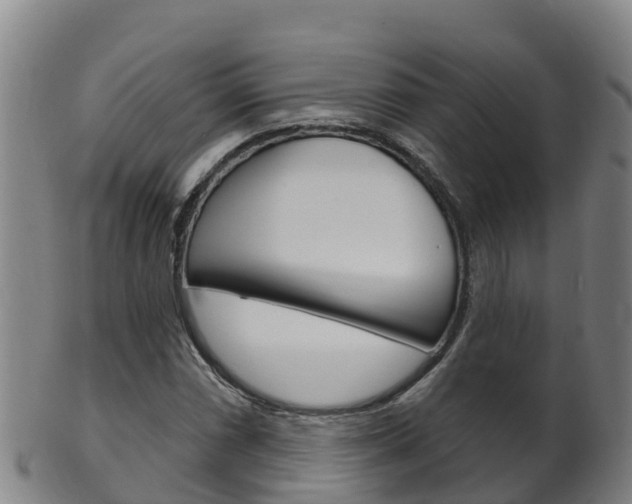X0000102531066200808081047