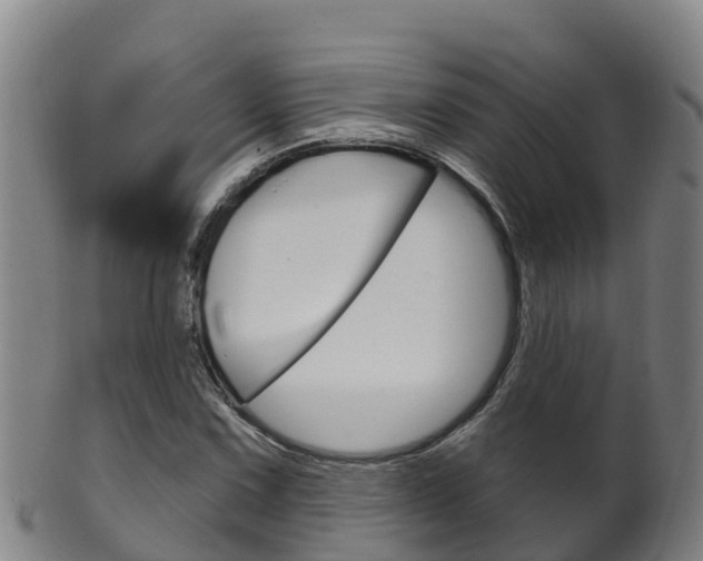 X0000102531067200808081047