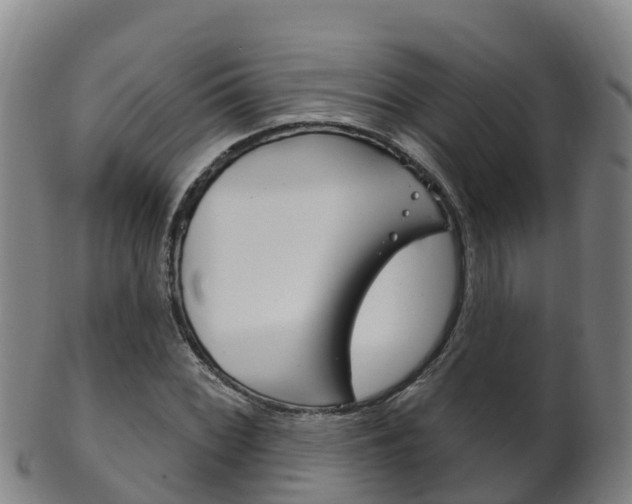 X0000102531068200808081047