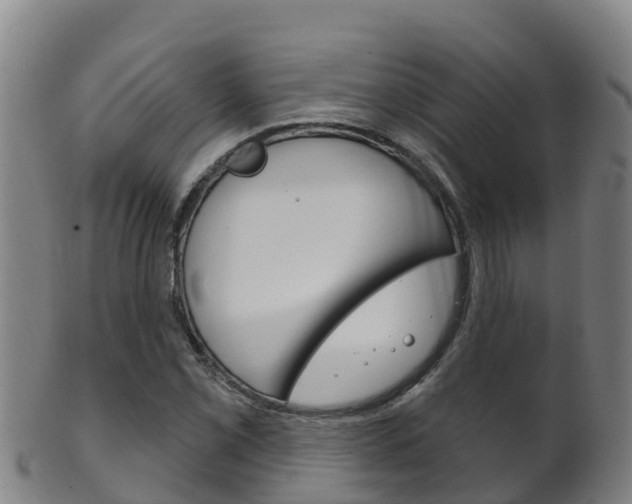 X0000102531069200808081047