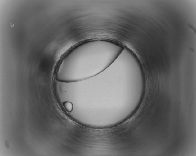 X0000102531071200808081047
