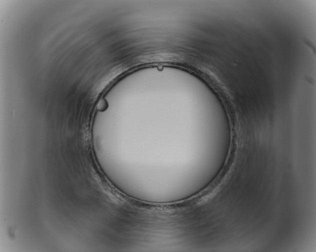 X0000102531073200808081047