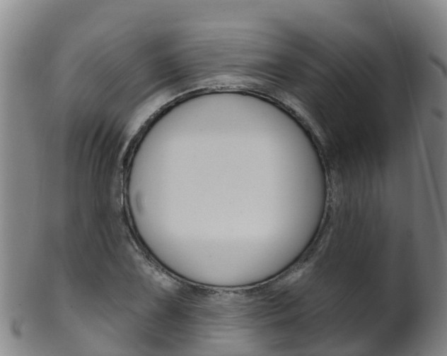 X0000102531075200808081047