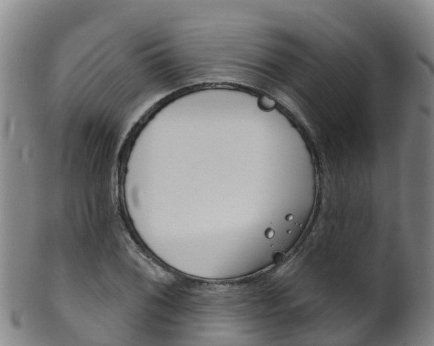 X0000102531076200808081047